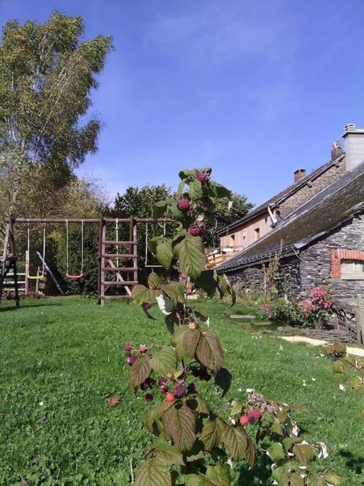 Gite Les 7 Frenes Vaux-sur-Sure Bagian luar foto