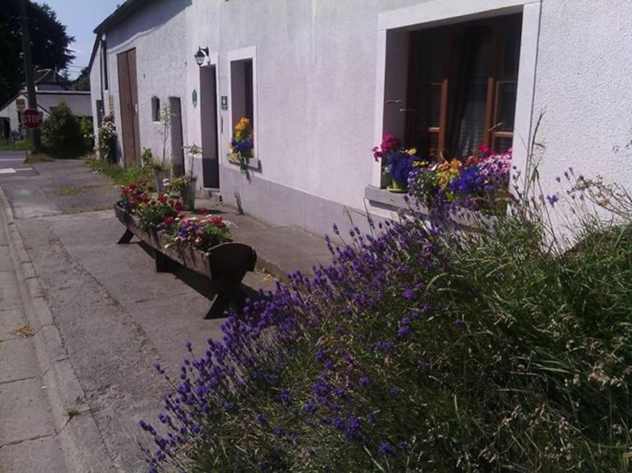Gite Les 7 Frenes Vaux-sur-Sure Bagian luar foto